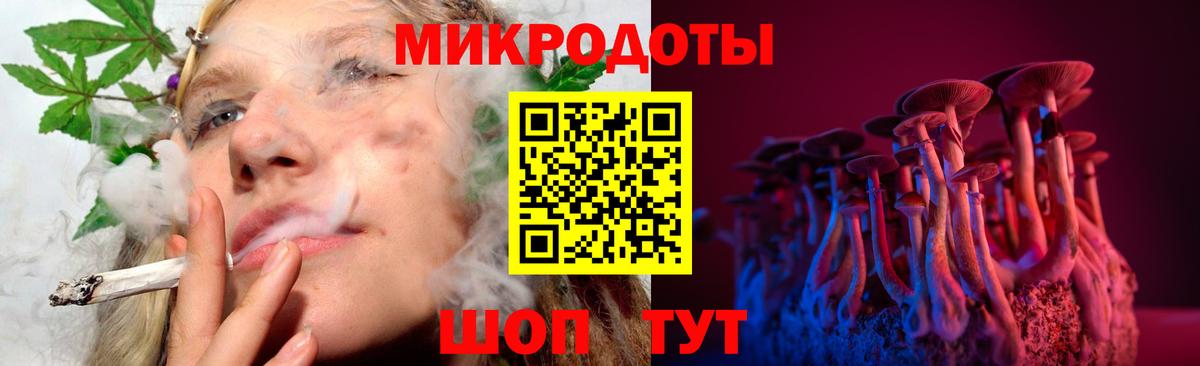 закладки  Вход с VPN  Фрязино  Псилоцибиновые грибы мицелий 